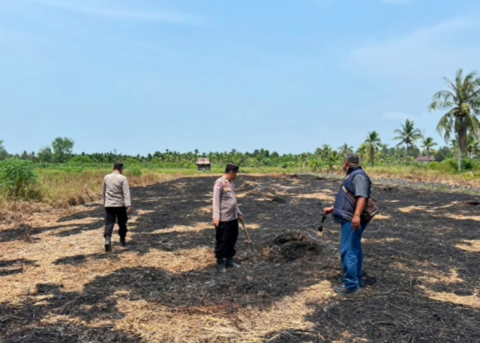 0,2 Hektare Lahan Gambut di Dusun Tua Desa Pembengis Terbakar  