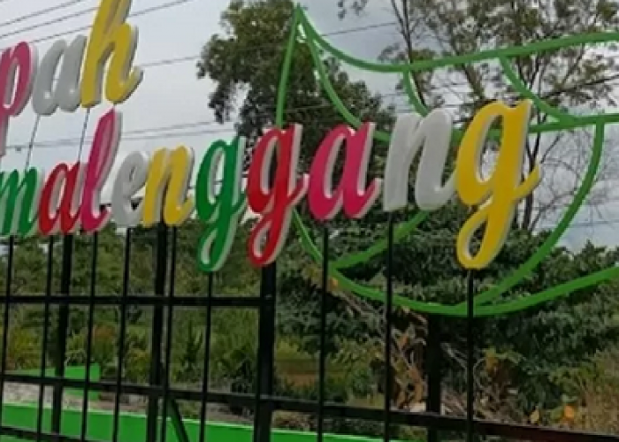 Jelajahi Pesona Alam dan Budaya di Taman Tapa Melenggang dan Aek Meliuk, Kabupaten Batanghari, Jambi