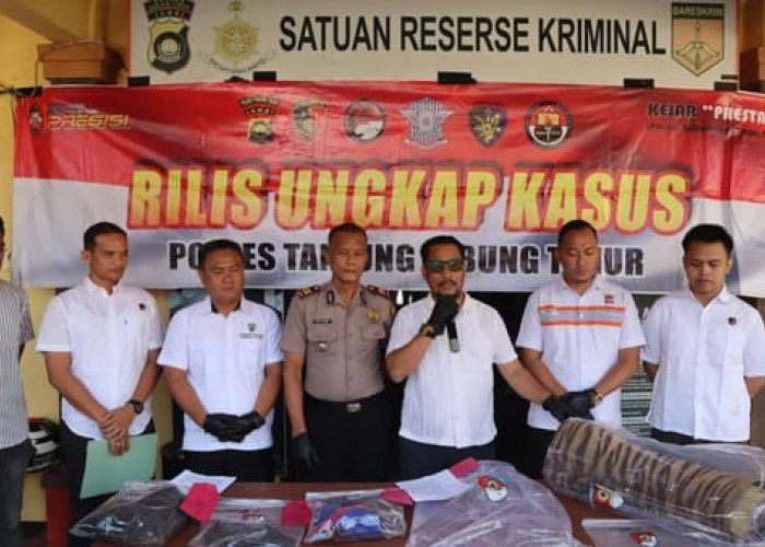 Koleksi Kulit Harimau Sumatera, Warga Tanjabtim Jambi Ditangkap Polisi