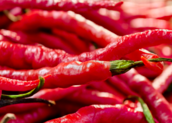 Harga Cabai Di Kota Jambi Relatif Stabil