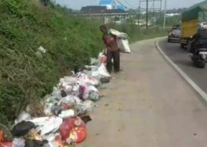 Dinas Lingkungan Hidup Kota Jambi Temukan 90 Tempat Sampah Liar