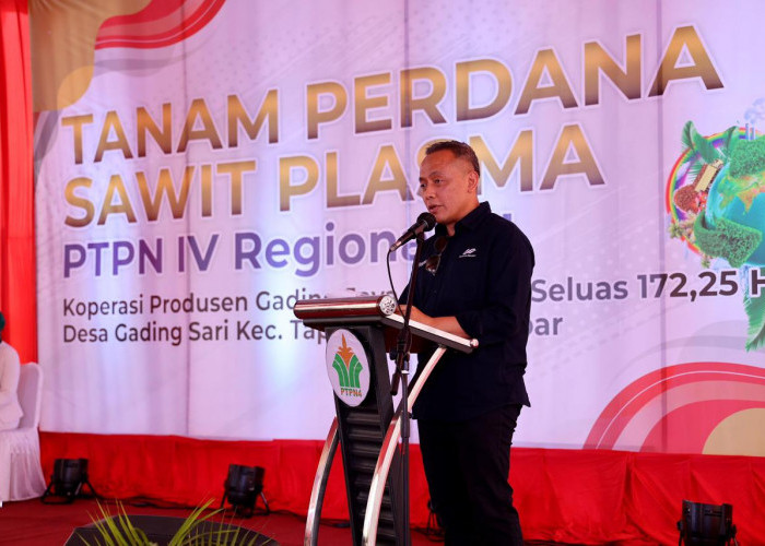 PTPN IV PalmCo Targetkan 2,1 Juta Bibit Unggul Diserap Petani Hingga 2024, Begini strateginya