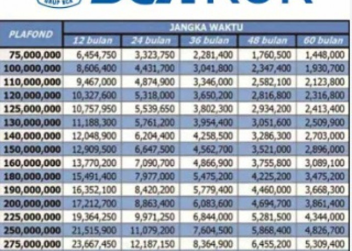 Tingkatkan Akses Pembiayaan bagi UMKM, Mudah dan Terjangkau dengan KUR BCA 2023