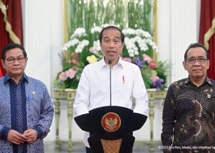 Jokowi Akan Groundbreaking Massal 17 Proyek Swasta di IKN Nusantara Sebelum Akhir Tahun