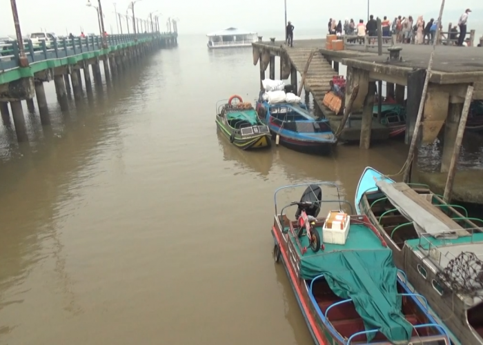 Dampak Kabut Asap, Pendapatan Agen Pelayaran Speedboat di Kuala Tungkal Turun 30 Persen