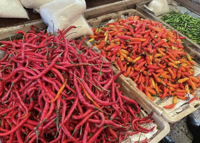 Harga Bahan Pokok 01 April 2026, Cabai Turun, Bawang Stabil