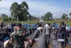 Gubernur Al Haris Bersinergi Wujudkan Swasembada Bawang Putih