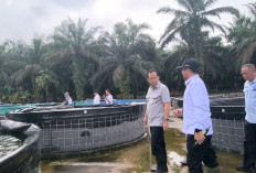 Dukung Ketahanan Pangan, Bupati BBS Kunjungi BPBAT Sungai Gelam