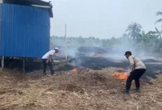 0,2 Hektare Lahan di Dusun Tua Desa Pembengis Terbakar