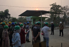 Produksi Kebun Bukit Kausar Tumbuh Positif, Perbaikan Operasional dan SDM Jadi Kunci