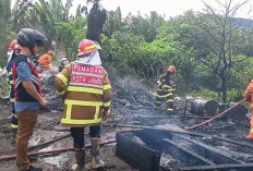 Diduga Dipicu ODGJ, Rumah dan Tempat Usaha Rongsokan di Payo Selincah Terbakar