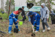 Pertamina EP Jambi Sambut Ajakan Pemprov Hijaukan Jambi