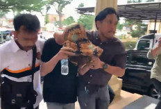 Ayah Bayi Jalani Penyidikan di Polda Jambi
