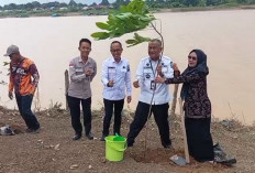 Pemkot Jambi Dukung Penanaman Pohon Serentak, Lebih dari 201 Ribu Pohon Ditanam