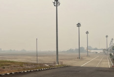 Jarak Pandang Terbatas, Dua Penerbangan Jakarta-Jambi Tertunda