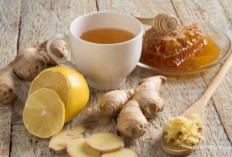 Obat Herbal Tradisional untuk Redakan Batuk, Alternatif Alami yang Banyak Digunakan