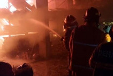 Kebakaran Bangsal Kayu Di Simpang Tiga Sipin, Damkartan Kerahkan 65 Personel