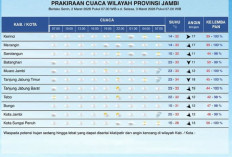 BMKG Ingatkan Potensi Hujan Lebat Disertai Petir di Tanjab Timur dan Tanjab Barat