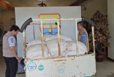 Satgas Karhutla dan BNPB Siapkan 10 Ton Garam untuk Operasi Modifikasi Cuaca di Jambi