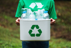 Mengenal Istilah-Istilah Lingkungan Hidup yang Penting Dipaham