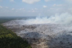 Soroti Karhutla Jambi, WALHI Desak Polisi Tindak Tegas Korporasi dan Jangan Garang ke Petani Kecil Saja
