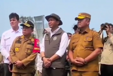 Tinjau Bukit Tigapuluh Tebo, Menhut Apresiasi Penanganan Karhutla dan Konservasi Gajah