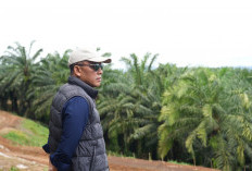 Siaga Hadapi Kemarau, PTPN IV PalmCo Perkuat Deteksi Dini Karhutla hingga Strategi Agronomi