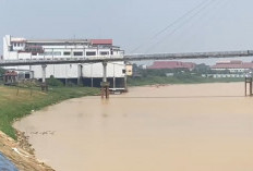 Dampak Kemarau, Ketinggian Air Sungai Batanghari Surut Drastis hingga 7,43 Meter