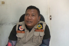 BPBD Tanjab Barat Fokus Tangani Kebakaran di Lahan Gambut  