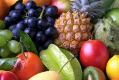 Ragam Buah dan Manfaatnya untuk Kesehatan Tubuh