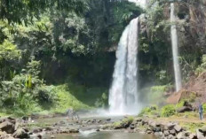 Pesona Air Terjun Sigerincing, Surga Alam di Lembah Masurai Merangin