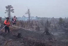 15 Hektare Lahan di Dusun Bumi Ayu Terbakar, Pemadaman Berlangsung Dua Hari 