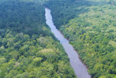 Patroli di Taman Nasional Berbak dan Sembilang Diperketat Seiring Datangnya Musim Kemarau