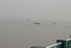 Kabut Asap Menyelimuti Perairan Tanjab Barat, Aktivitas Speedboat Tetap Berjalan