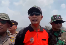 Kasus Karhutla Jambi, 18 Orang Jadi Tersangka