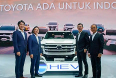 55 Tahun Berkarya di Indonesia, Toyota Resmi Meluncurkan Land Cruiser 300 Hybrid EV dan bZ4X Touring