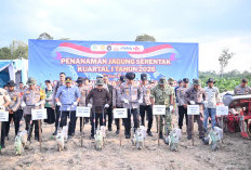 Dukung Swasembada Pangan, Kapolres Muaro Jambi Targetkan Produksi 600 Ton Jagung