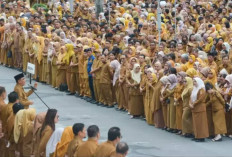 Seluruh PPPK Paruh Waktu Daerah Bakal Diangkat Penuh Waktu Mulai Januari 2027 dan Dibiayai APBN