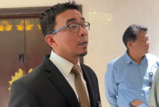 Ojk Dan Bank Jambi Koordinasi Tangani Anomali Transaksi, Masyarakat Diminta Tetap Tenang