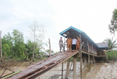 Bupati Tanjab Barat Pastikan Dermaga Apung Ambruk di Tanjung Senjulang Segera Diperbaiki  