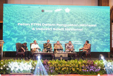 Kementan Dukung PalmCo Percepat Hilirisasi, Produktivitas Sawit Rakyat Jadi Kunci