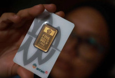 Harga Emas Antam 12 Agustus 2026 Turun Rp30.000 per Gram Jelang HUT RI