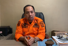 Karhutla di Kota Jambi Capai 83 Kejadian, Agustus dan September Tertinggi