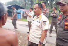 Tegakkan Perda Ketertiban Umum, Satpol PP Edukasi Pelaku Usaha Kelapa