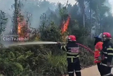 Kebakaran Lahan Hebohkan Warga Kenali Asam Kota Jambi, Petugas Damkar Berjibaku Padamkan Api
