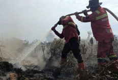 Manggala Agni Padamkan Karhutla Seluas 7,5 Hektare di Rokan Hilir