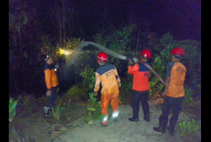 Karhutla, BPBD Catat 0,5 Hektare Lahan Terbakar di Terjun Jaya