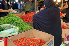 Memasuki Hari Kedua Ramadan 2026, Harga Cabai Melonjak, Rawit Merah Tembus Rp100 Ribu Per Kilogram