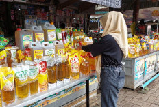 Intip Harga Minyak Goreng Terbaru di Kota Jambi, Komoditas Premium dan Curah Masih Bertahan Tinggi