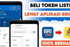 Tak Perlu Lagi ke Kota, IRT di Empat Lawang Ini Terbantu Beli Token Listrik Lewat BRImo